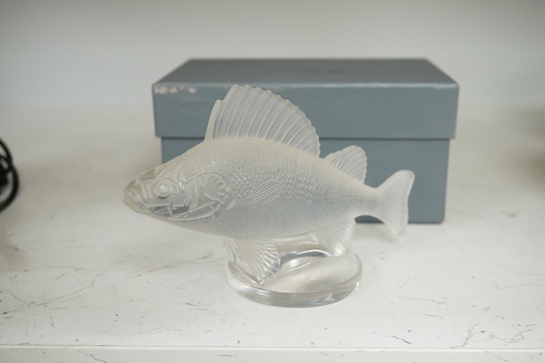 A Lalique glass perch fish car mascot, with original box, 17cm wide